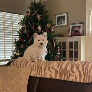 Meet your Posher, Susan